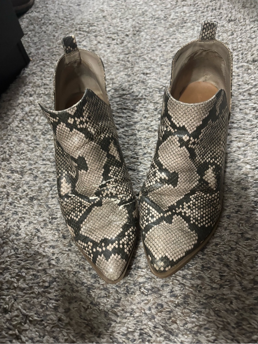 Snake-Print Pointed Toe Ankle Boots - Beige/Black